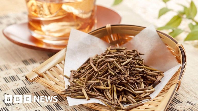 Is hojicha the next matcha? The Japanese tea creeping onto menus